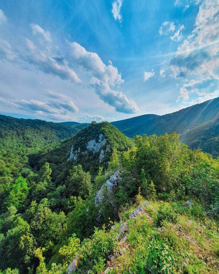 Restoran Sa Prenocistem Gornjak Krepoljin Extérieur photo