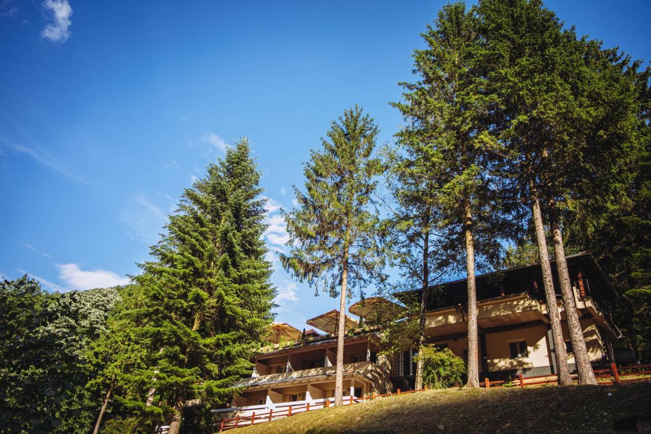Restoran Sa Prenocistem Gornjak Krepoljin Extérieur photo